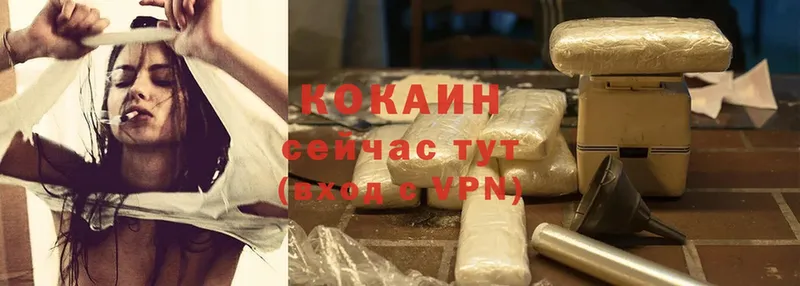 купить наркотики сайты  Луга  Cocaine VHQ 